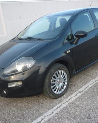 Fiat Punto 1.2 8V 5 porte Easy - Grandinata