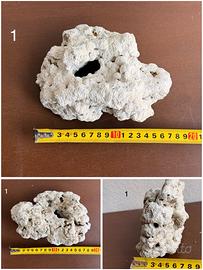 Rocce per acquario marino