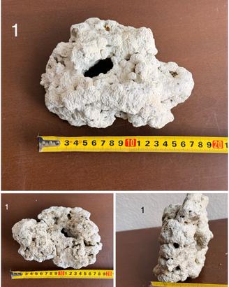 Rocce per acquario marino