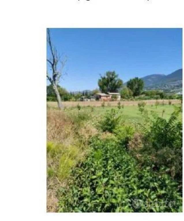 Immobile in asta di 1050 m² a Spello - Vista 3