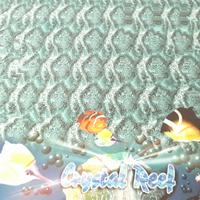 set di 8 poster  stereogrammi 3d