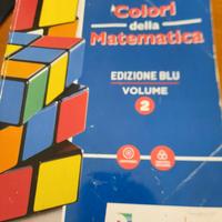 Colori della matematica vol.2, Sasso L. e Zanone C