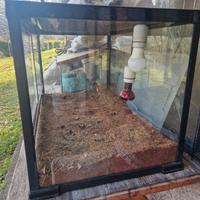 Terrario per rettili