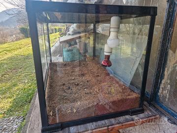 Terrario per rettili