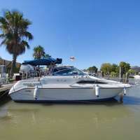 Barca 7,5m Sea Ray 240