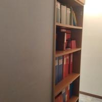 Libreria in legno con scomparto 2 ante