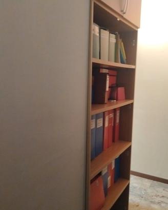 Libreria in legno con scomparto 2 ante