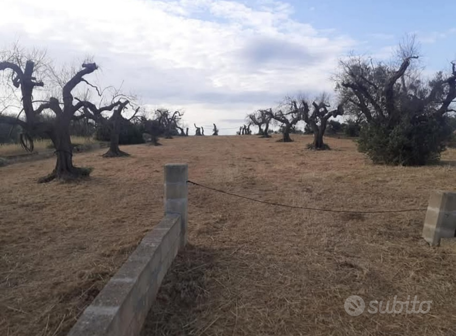 Terreno agricolo - Vista 2