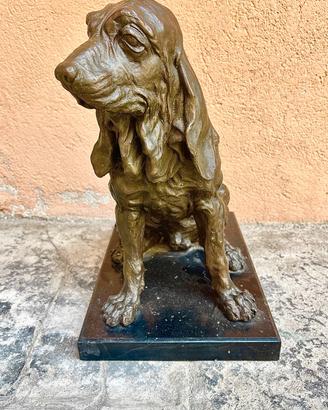Scultura in bronzo cane Segugio