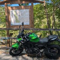 Kawasaki z650 del 2020 Perfetta