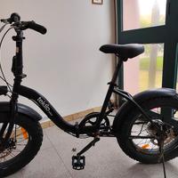 bici pieghevole 