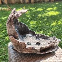 vaso per collezione bonsai 