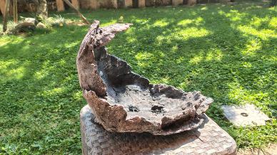 vaso per collezione bonsai 