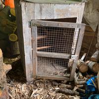 Gabbia per galline
