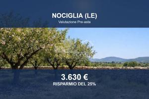 Immobile in asta di 3017 m² a Nociglia