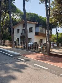 Casa vacanze Lido Di Jesolo