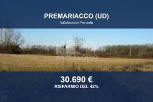 Immobile in asta di 22900 m² a Premariacco