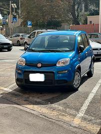Fiat Pandina 2024 - NUOVA!