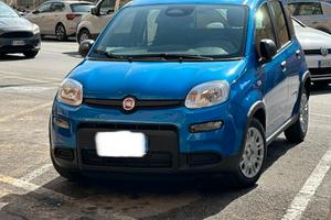 Fiat Pandina 2024 - NUOVA!