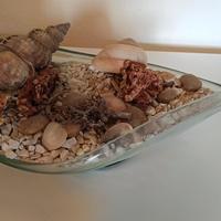 composizione marina con vaso 