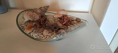 composizione marina con vaso 