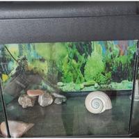 Acquario esagonale in buono stato