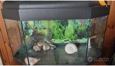 Acquario esagonale in buono stato