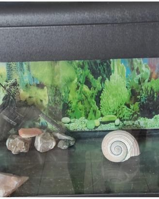 Acquario esagonale in buono stato