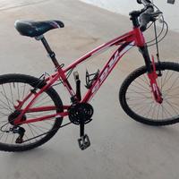 Bici ragazzo