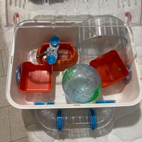 Gabbia nuova per criceti