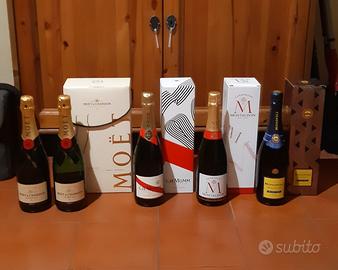 Stock bottiglie champagne bollicine da collezione