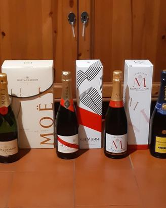 Stock bottiglie champagne bollicine da collezione