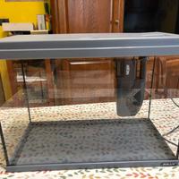 Acquario 35 litri