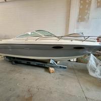 Barca a motore Sea Ray 230 con carrello omologato