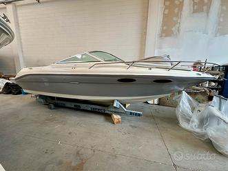 Barca a motore Sea Ray 230 con carrello omologato