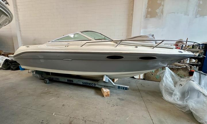 Barca a motore Sea Ray 230 con carrello omologato
