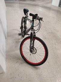 Mountain bike