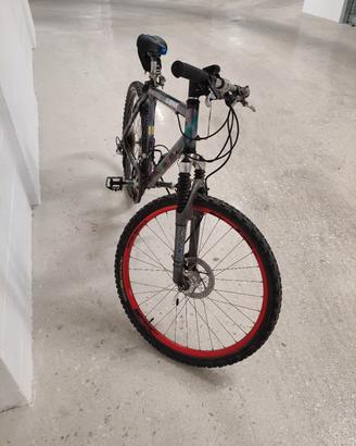 Mountain bike