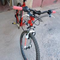 Bici