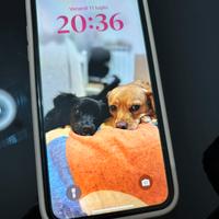 iPhone11.  250€
