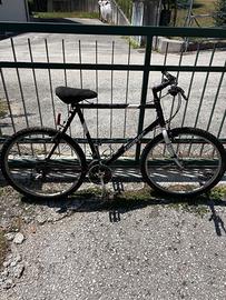 bicicletta uomo