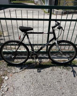 bicicletta uomo