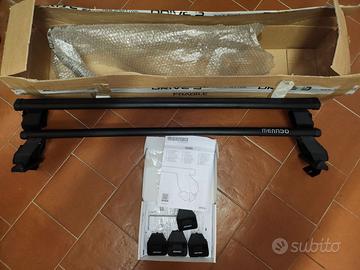 Barre portatutto Renault Clio