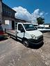 iveco-daily-35c15l-btor-3-0-hpt-plm-rg-cabinato-ca