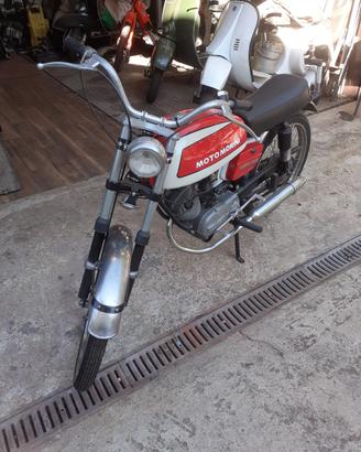 corsarino zz 50 cc