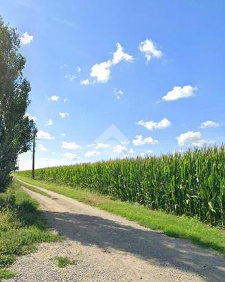 TER. AGRICOLO A QUINZANO D'OGLIO
