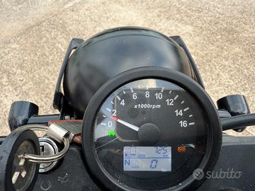 Brixton Felsberg 125 - 2021