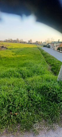 Terreno agricolo Via Ponticelli Pieve a Nievole