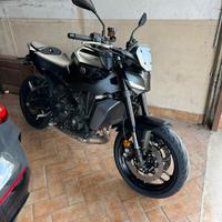 Yamaha mt 09 2024