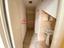 Immagine 14
